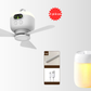 🏭 Direct usine 🚀 Livraison à domicile💨Ventilateur de plafond portable 2-en-1 (avec éclairage LED)