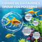💎 1 ACHETÉS, 1 GRATUITS ! 💎 Comprimés Nettoyant Aquarium Multi-fonctions 2026 – Eau Cristalline en Minutes, Sûrs pour Poissons & Plantes