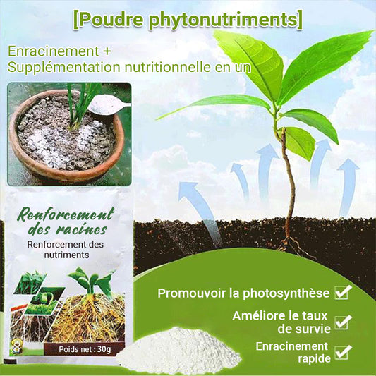 👍New Arrival Hot Sale 🔥Poudre nutritionnelle pour la croissance des racines des cheveux de plantes🔥