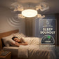 🌀59 % DE RÉDUCTION !!❄️Ventilateur de plafond avec éclairage Aerolux™ – LED silencieuse 2-en-1 avec télécommande 🌬️💡  Circulation d'air économe en énergie et éclairage à intensité variable pour les chambres, les salons et les vérandas 🏡✨