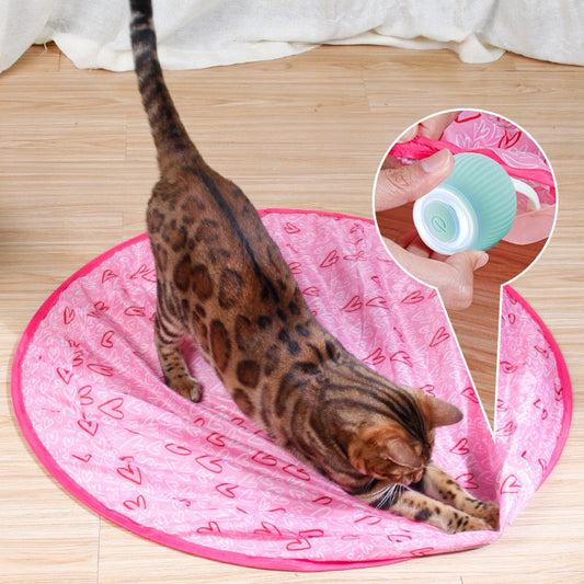 🔥Ventes chaudes - 49% de réduction😻Jouet de chasse interactif simulé 2 en 1 pour chat