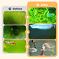 🐠 ACHETEZ 1 - RECEVEZ 1 GRATUIT ! 🌿 Éliminateur d'Algues pour Aquarium - Purification Sûre et Rapide sans Nocivité pour les Poissons 💧✨