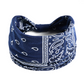 🥰2pcs Bandeau large à motif cachemire bohème