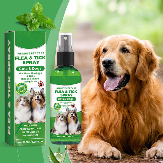 Spray naturel anti-puces et anti-tiques pour chiens et chats 🐾 Protégez votre compagnon adoré des parasites 🐾