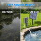 ☀️Solar Pond Aerator with Air Pump