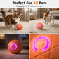 🐾 BALLE INTELLIGENTE POUR ANIMAUX DE COMPAGNIE À RÉBOND AUTOMATIQUE AVEC TÉLÉCOMMANDE — 3 modes interactifs | E-TPU résistant aux morsures | Rechargeable via USB-C 🎾
